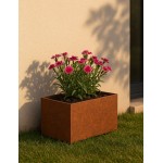 bac acier corten 600