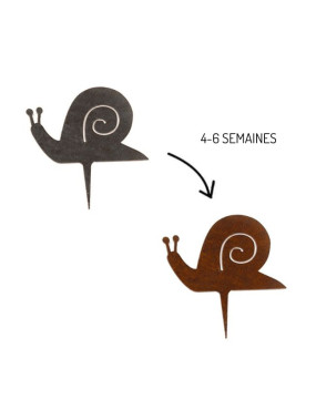 escargot rouillé